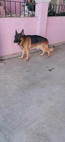 PETNET-3
