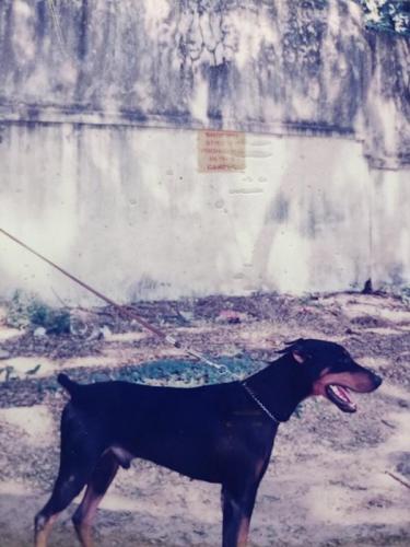 PETNET-PERSONAL-5